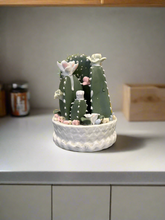 Load image into Gallery viewer, Flowering Ceramic Cactus
