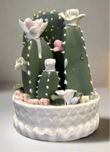 Load image into Gallery viewer, Flowering Ceramic Cactus
