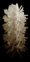 Load image into Gallery viewer, Cereus Acrylic Artwork 46"w x 94"h
