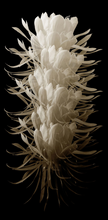 Load image into Gallery viewer, Cereus Acrylic Artwork 46"w x 94"h
